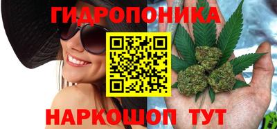 мяу мяу мука Малоярославец