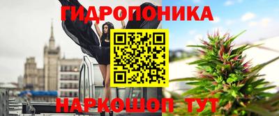 хмурый Малгобек